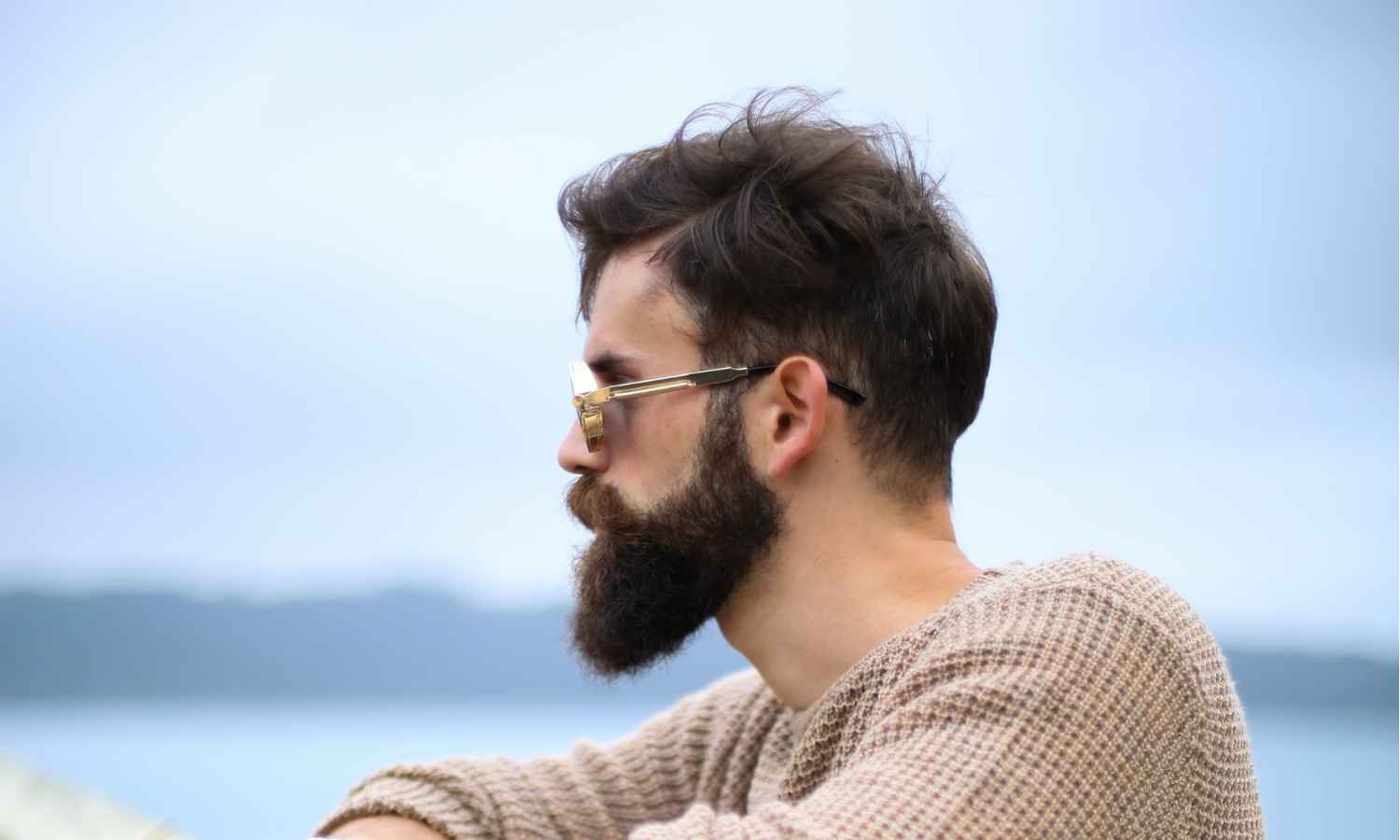 Best Beard Straighteners