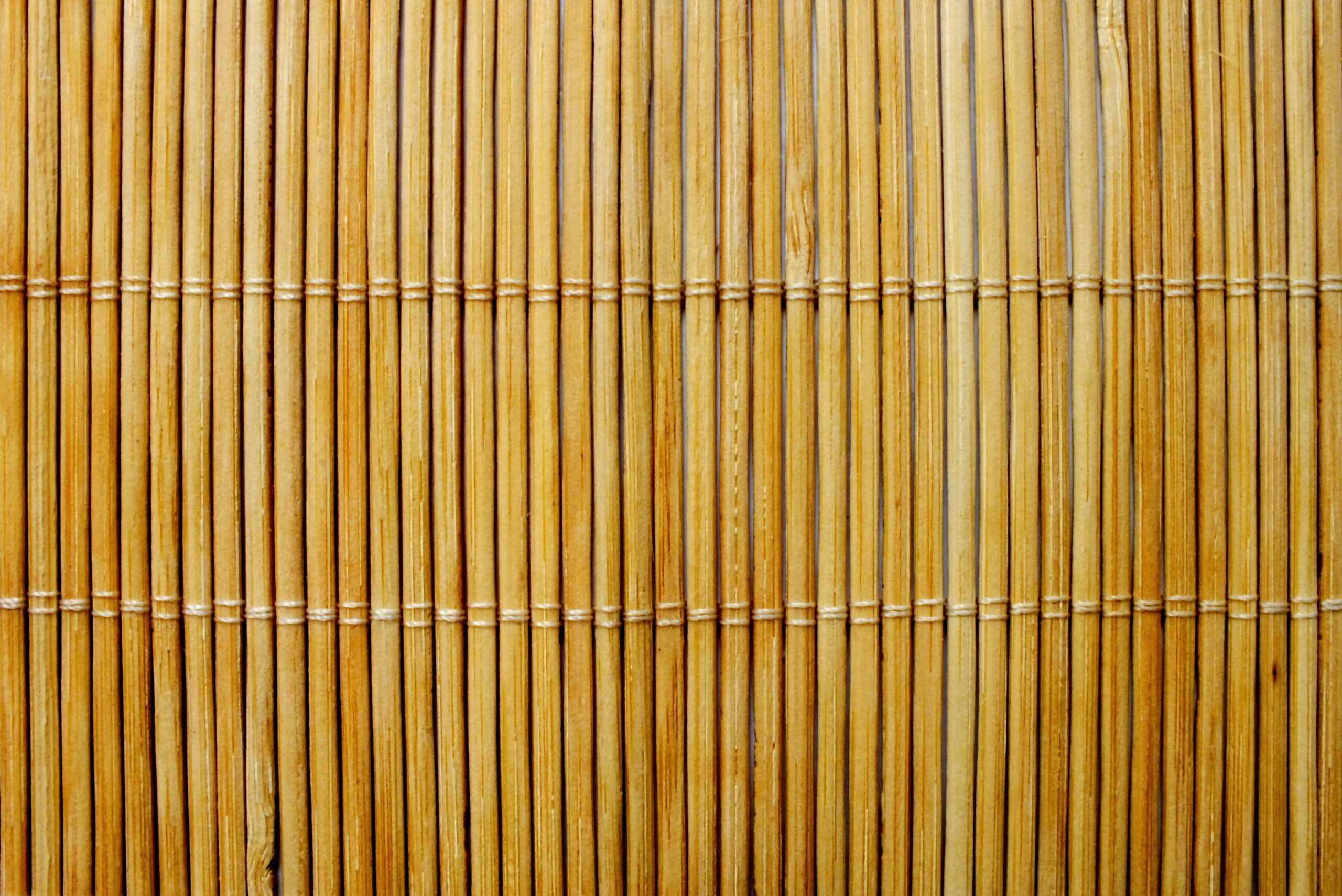 What is Bamboo Fabric? The Ultimate Guide