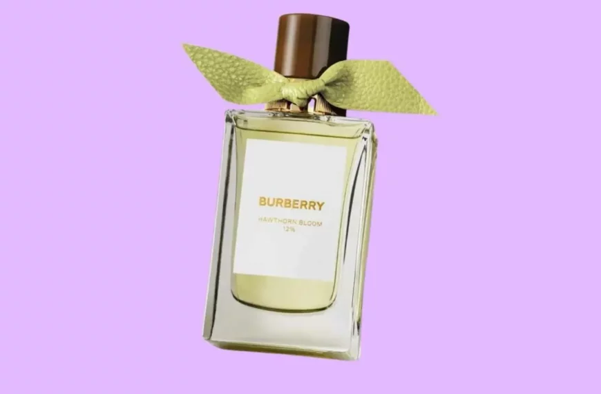 10 Best Burberry Perfumes of All Time