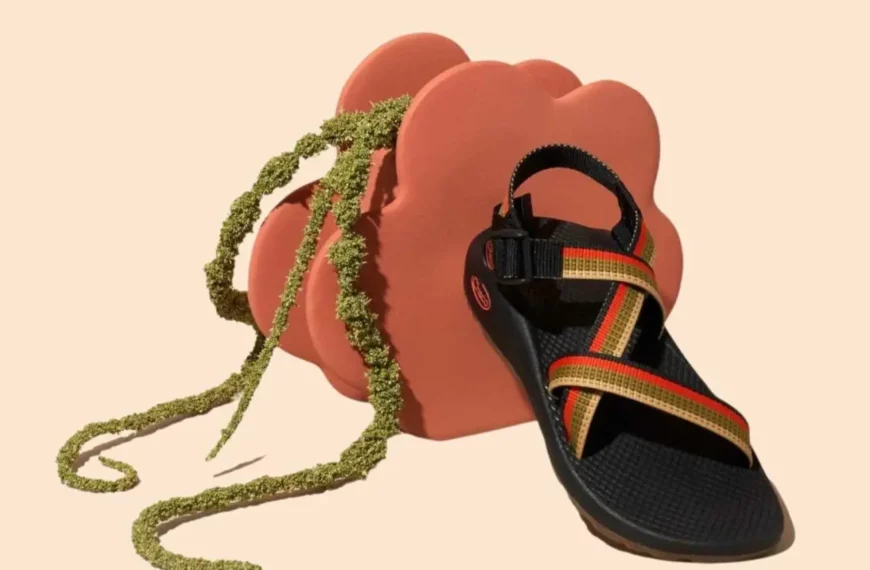 Chaco VS Teva: Which Sandals are Superior? 